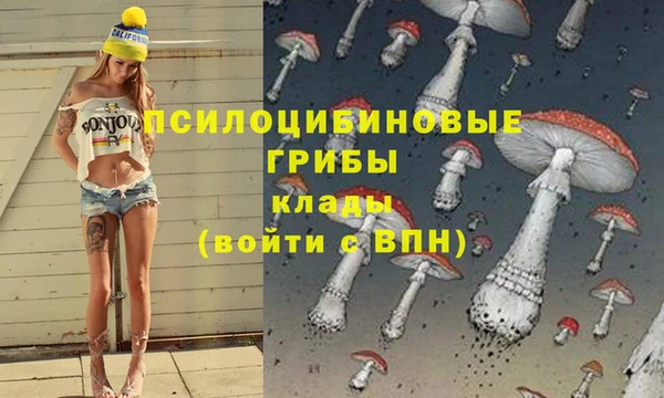 гидра Александровское