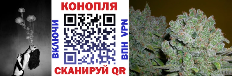 Канабис White Widow  Купить закладки  Правдинск 